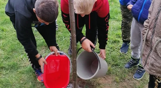 64b1456f23b24594b1a5f5a1fdffe2e6