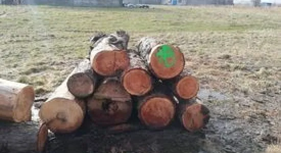 661dcae6547a9c04d58f97623b35b887