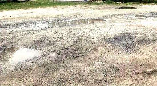 66dfb2eff362ac9bc399762b51ee72d7