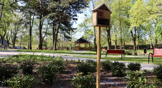 6a262f7751d02a37cb4cd2f21178d760