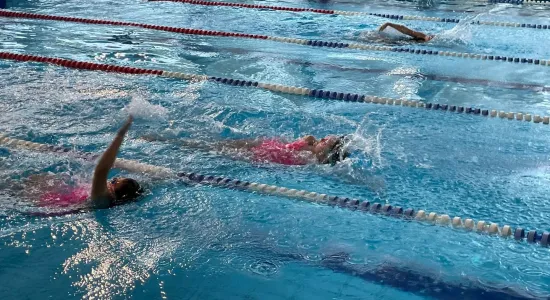 408453956 750654870427230 3829796878721012590 