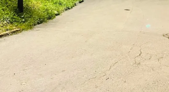 6e25b4d6ff8889b6a94721cf04751af2