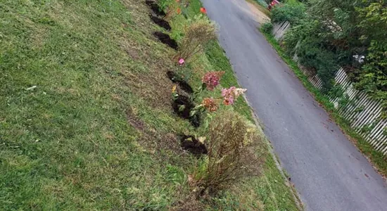 701c8163eaf653d9a6f13e2631b71587