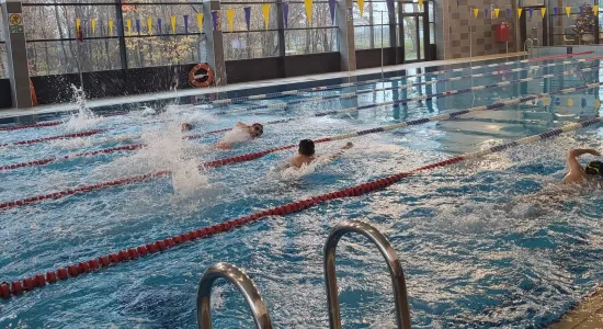 73f3a6cb65e582b43ff83e2bb54f649a