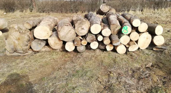 75912183353f897c0aa5b69e037ec3a3