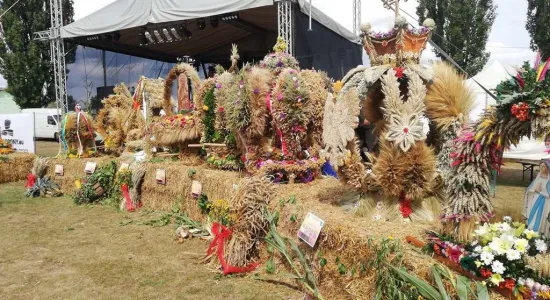 40159418 319442318815004 1401848540543582208 