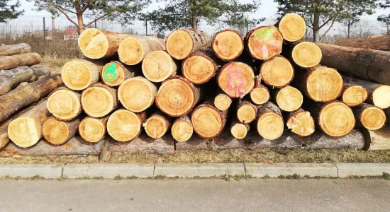 7f45c7a313b42f0e245de1c99723291a