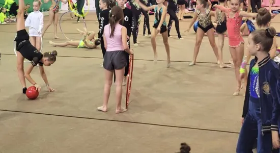 823448f80dd0a0b593a0c606939ceb5e