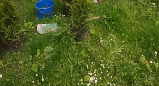 8b737d5a58d6a25e873021c5fe0ea802