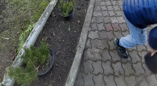 8e6201e308f6676d953f5fb8fe8a1f31