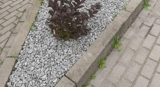 94645628bb0b3cf96e5810bad63b07c1