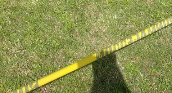 94f441a6ab0d4ec9db058bb97031e8c5