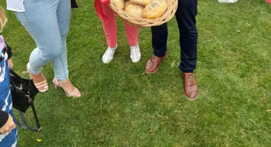 970aa36eee26c227021f046776e7780c