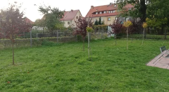 252690847 1954750971376091 1226451345408275151 n (002