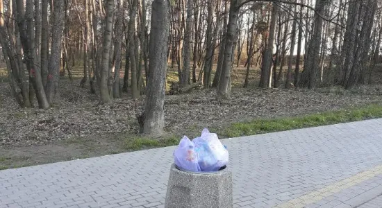 Resized 20200402 073000 9655