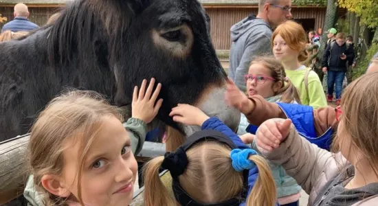 Zdjecie nr 23 ZOO Wrocła