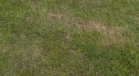 9e240b78632bab4c57c97c86c5f60e7c