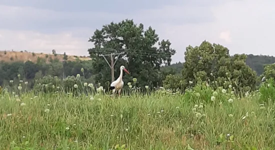 a045d816ce0b3cf94a5d56d893c89d4a