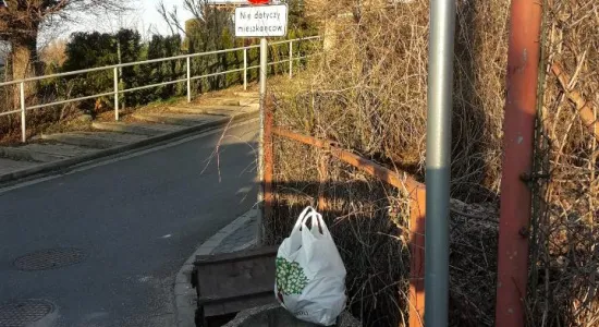 Resized 20200402 071833 6434