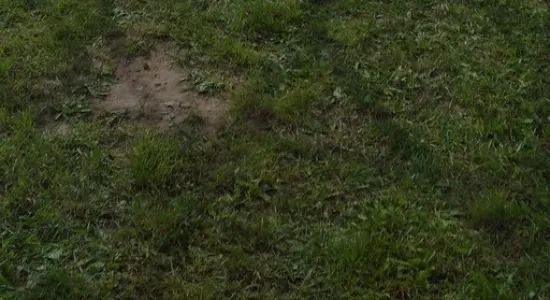 a1e17210acac0f6471dce390012a855a