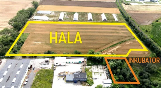 hala wsse i inkubator