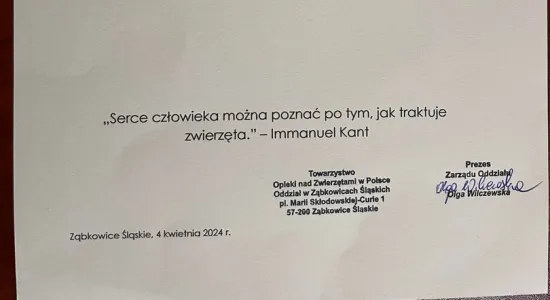 432939368 7576871369039984 8127750219168629750 