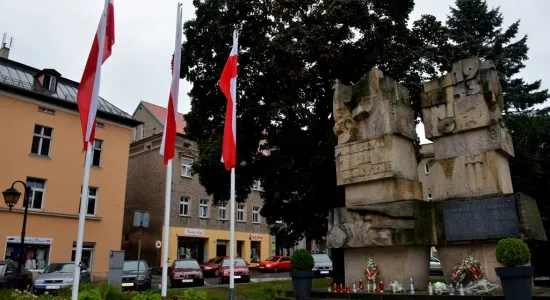  DSC596