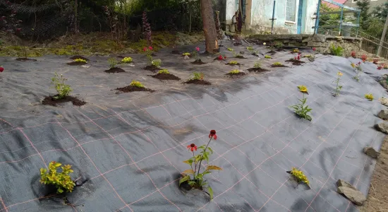 a7fe46e1ebf3879ad44e56647e2d550d