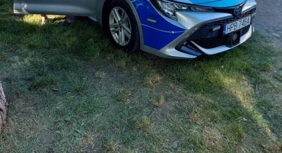 350127688 533747372125793 4747422692725619271 