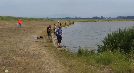 aa345df9f25c1303afa40fd8c31c5dca