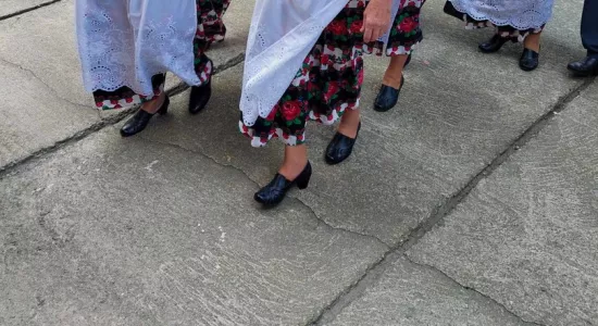 455574007 1140846760345053 5128746357184428290 