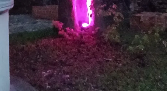 af5ec0bf59efb46c611550f2f52fa275