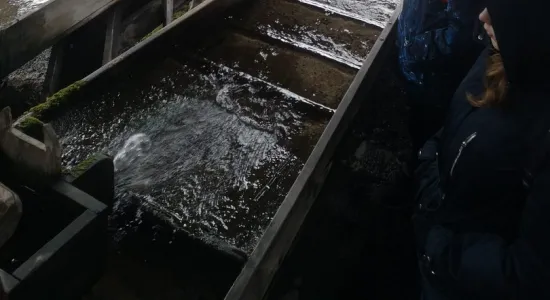 af5f1cc15077081645594e28cb5dd23d