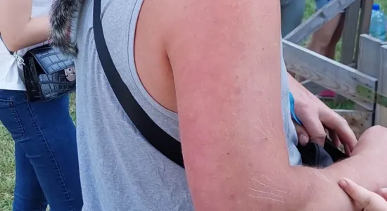 350267786 154770330815086 3157908497663717334 