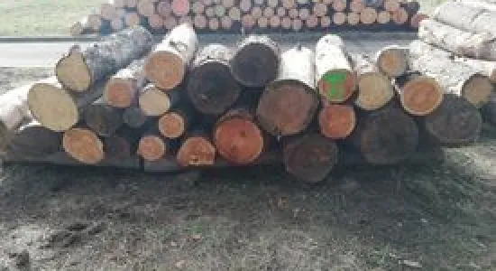 b3078a37a58c435383a13b21ce90c7b8