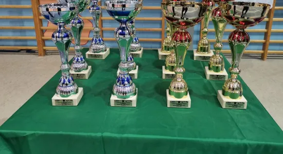 75178133 554606338660684 2443825542336610304 