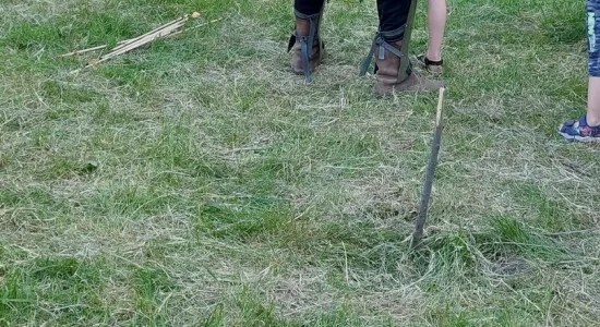 351276885 918931505867833 6968473966837808388 