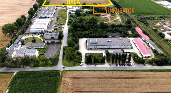 hala wsse i inkubator