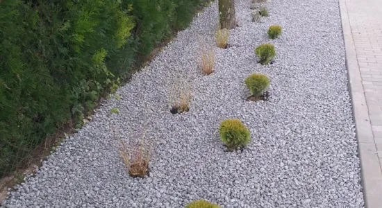 247122475 4683277115065042 5400805769532126564 n (002