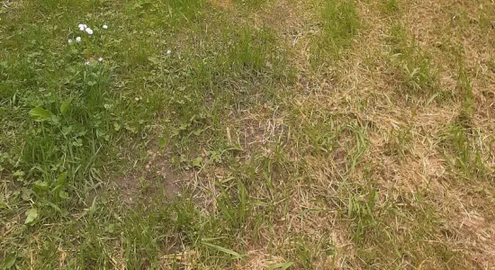 b9b1e5173206ab6e3e1489b0c07d59fa