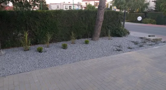 247855988 933302793933013 2901763227160841935 n (002