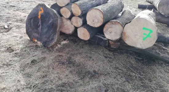 bb9cb58c2bc7ade7ba3fb6f86fcabeaa