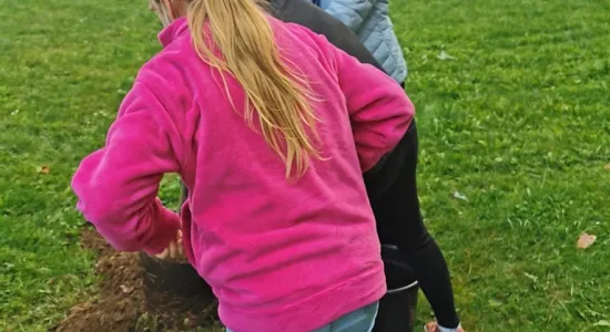 bc7a1e64309b133d9faa31e41427e77d