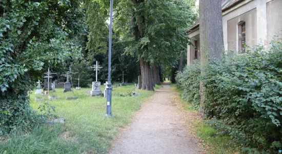 bfe4b286552391537cad6fbd0b71f20c