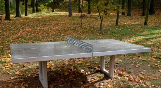 72475324 467132003894272 128270662878887936 