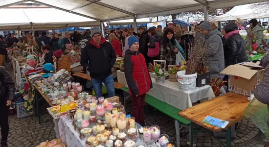 c256ff79d49ce11f06c7d07b739a5050