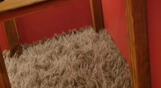 c55d66fb8b94c527f34df7099f98641c