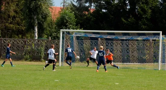  DSC519