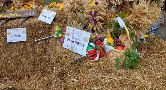 455048182 1306504230315380 1258474334723047812 