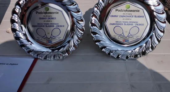 ce1b6f6127a2cf4303d19b609335ea3e